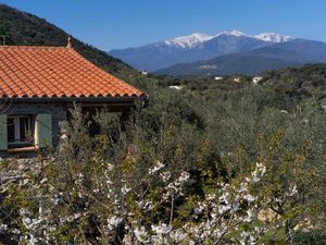 23370830-Ferienwohnung-4-Céret-300x225-5