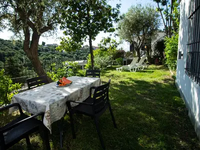 Garten. vollständig umzäunt, mit 2 Liegestühlen und schattenspendenden Olivenbäumen