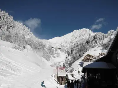 Ferienwohnung für 7 Personen (48 m²) in Champagny-en-Vanoise 3/10