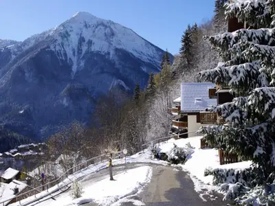 Ferienwohnung für 5 Personen (21 m²) in Champagny-en-Vanoise 3/10
