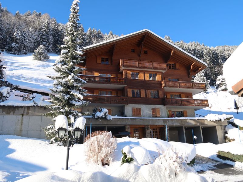 23842946-Ferienwohnung-7-Champéry-800x600-0