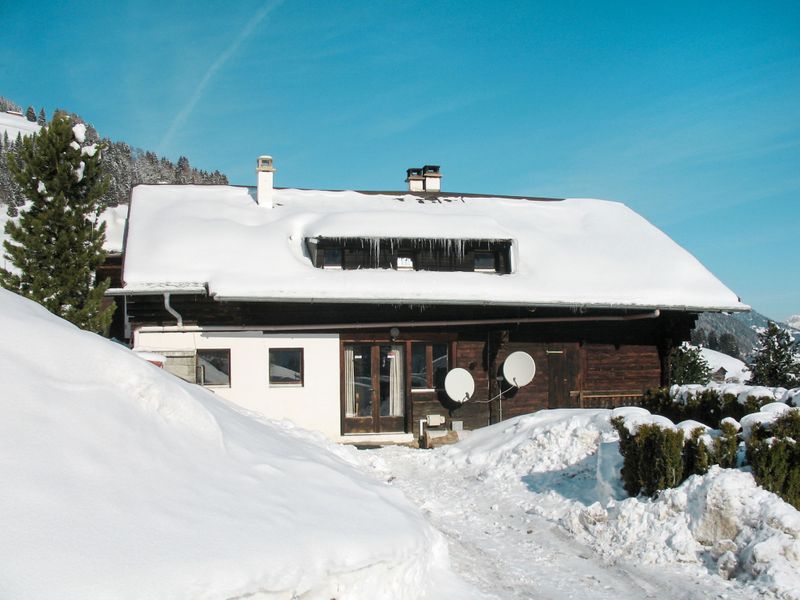 23848642-Ferienwohnung-16-Champéry-800x600-0