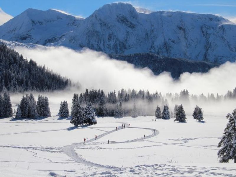 22792233-Ferienwohnung-6-Chamrousse-800x600-1