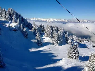 AreaWinter1KM