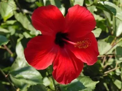 Bild 8