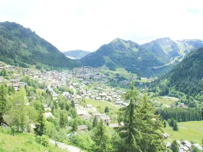 ViewSummer