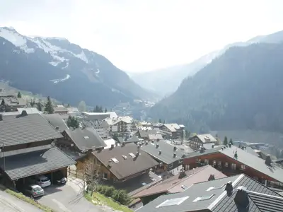 ViewSummer