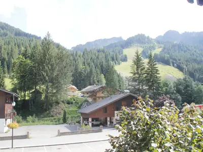 ViewSummer