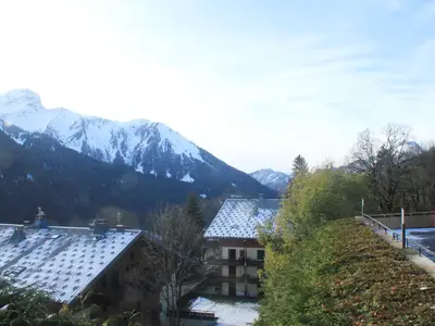 ViewSummer
