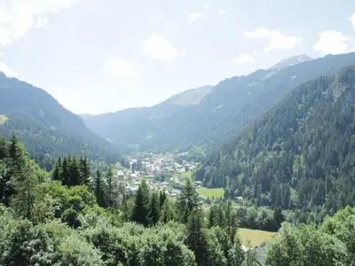 ViewSummer