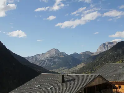 ViewSummer