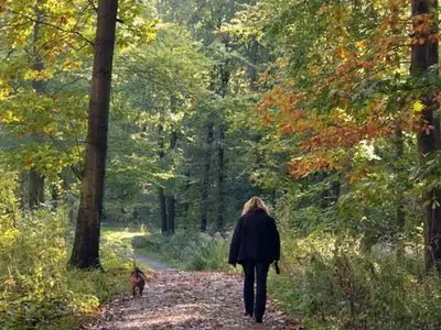 Ebersdorfer Wald 2min entfernt