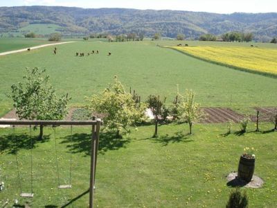 Aussicht vom Balkon im Sommer