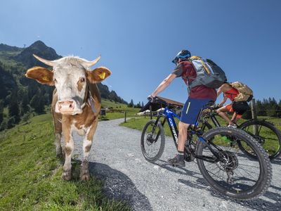 Mountainbiken