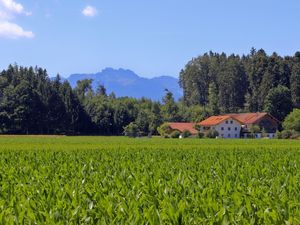 Ferienwohnung für 4 Personen (60 m&sup2;) in Chieming