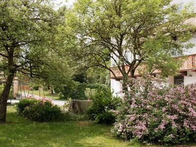 Blick in den Garten