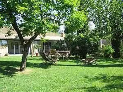 Garten vor Studio