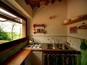 22808791-Ferienwohnung-3-Civitella d'Agliano-300x225-5