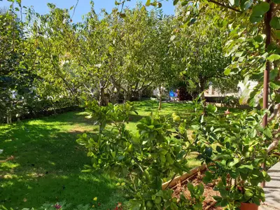 Ferienwohnung für 5 Personen (60 m²) in Čižići 8/10