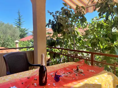 Ferienwohnung für 4 Personen (50 m²) in Čižići 2/10