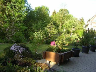 Garten. Blick über die Terrasse