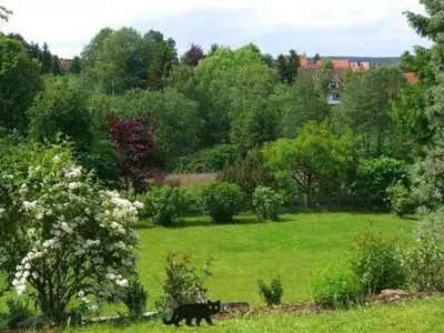 Ferienwohnung für 2 Personen (50 m²) in Clausthal-Zellerfeld 4/10