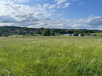 Ferienwohnung für 4 Personen (84 m²) in Clausthal-Zellerfeld 3/10