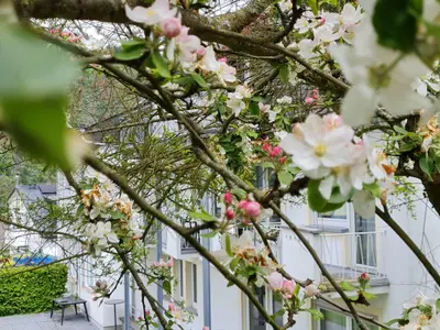 Ferienhaus Am Reilsbach