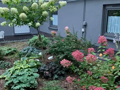 Ferienwohnung für 2 Personen (45 m²) in Cölbe 7/10