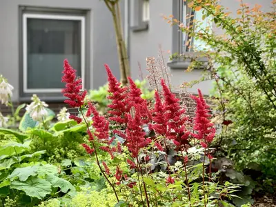 Gartenimpressionen
