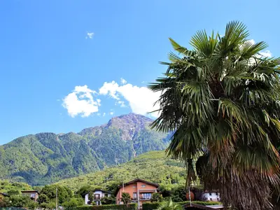 Gartenblick