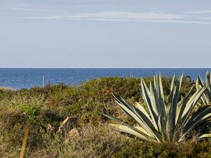 Ferienwohnung für 4 Personen (80 m²) in Colònia de Sant Jordi