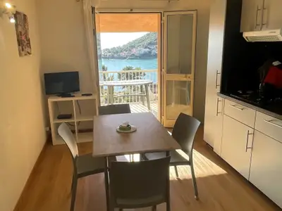 Ferienwohnung für 4 Personen (38 m²) in Tarcu 4/10