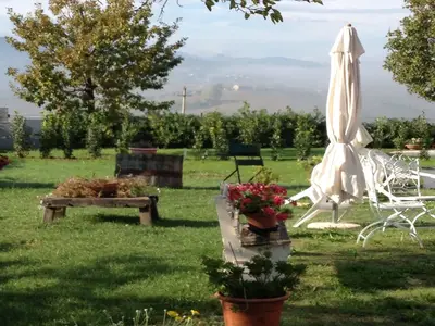 GardenSummer