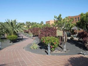 465861-Ferienwohnung-3-Corralejo-300x225-4