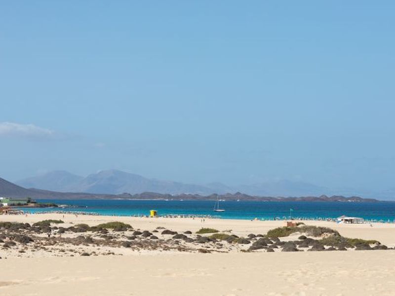 23331546-Ferienwohnung-3-Corralejo-800x600-2