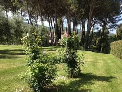 Bild 9