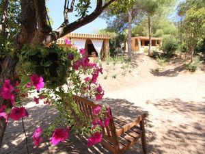 Ferienwohnung für 4 Personen (40 m&sup2;) in Costa Paradiso