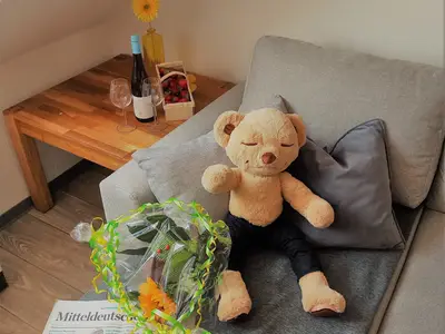 Ferienwohnung für 4 Personen (50 m²) in Coswig (Sachsen-Anhalt) 3/10