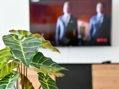 Ferienwohnung für 4 Personen (52 m²) in Cottbus 2/10