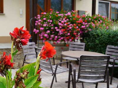 Ferienwohnung für 4 Personen (60 m²) in Creglingen 3/10