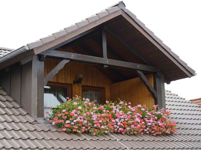 Ferienwohnung für 4 Personen (80 m²) in Creglingen 9/10