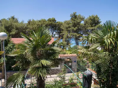 Ferienwohnung für 3 Personen (30 m²) in Cres 10/10