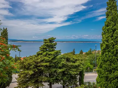 Ferienwohnung für 3 Personen (38 m²) in Crikvenica 6/10