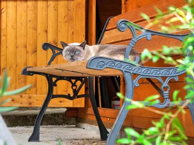 Ferienwohnung für 6 Personen (100 m²) in Crikvenica 4/10
