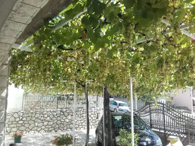 Ferienwohnung für 3 Personen (35 m²) in Crikvenica 4/10