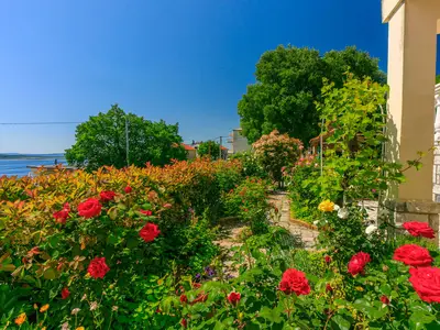 Ferienwohnung für 4 Personen (52 m²) in Crikvenica 5/10