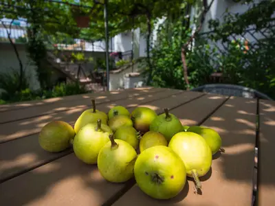 Ferienwohnung für 4 Personen (41 m²) in Crikvenica 3/10