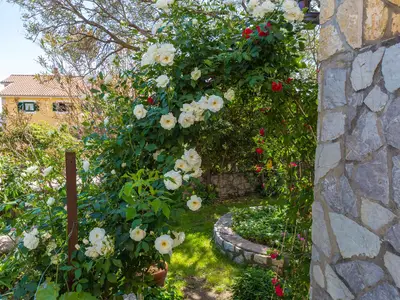 Ferienwohnung für 2 Personen (20 m²) in Crikvenica 10/10