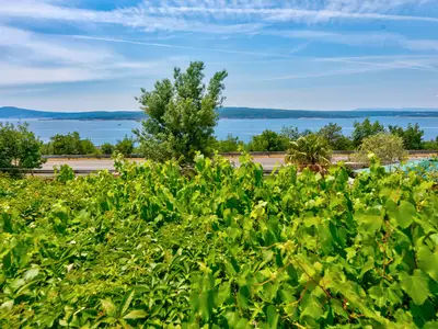 Ferienwohnung für 4 Personen (67 m²) in Crikvenica 3/10